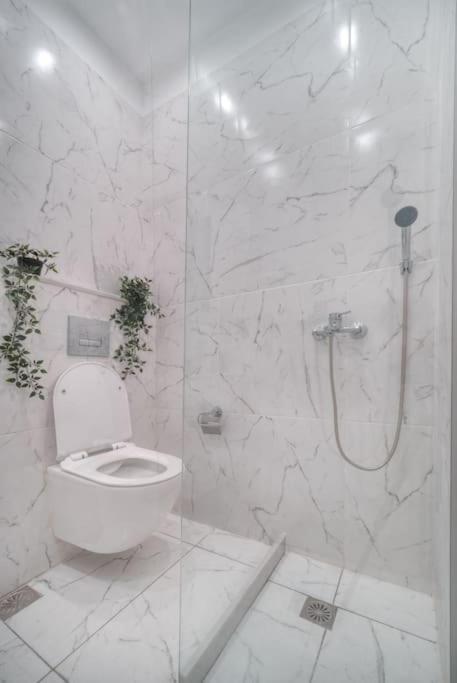Appartement Εστία 10 Λεπτά Από Την Ακρόπολη à Athènes Extérieur photo